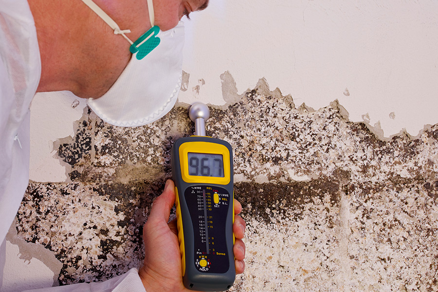 man-testing-mold-on-wall-corry-pa